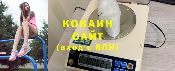 эйфоретик Богданович
