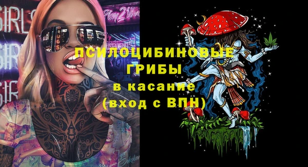 молекула духа Белоозёрский