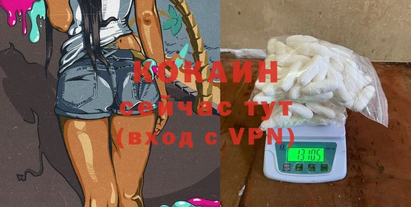 ешки Белокуриха