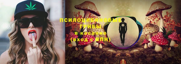 ешки Белокуриха