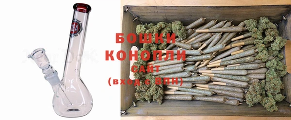 ешки Белокуриха